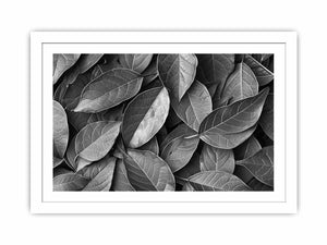 Black and white botanical leaves canvas art for calm modern bedroom decor.