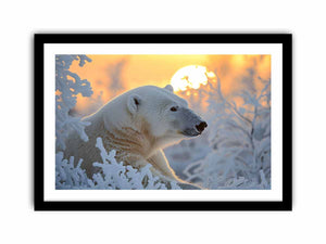 Framed Print