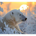  Bear Felling  Cold