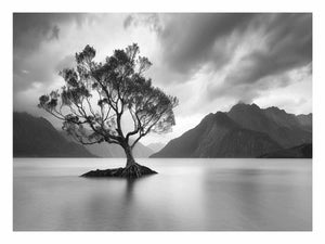Black and white lake tree canvas art for calm modern living room decor.