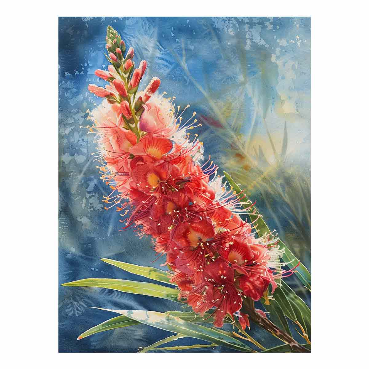 Red bottlebrush watercolor canvas art for modern botanical living room decor.