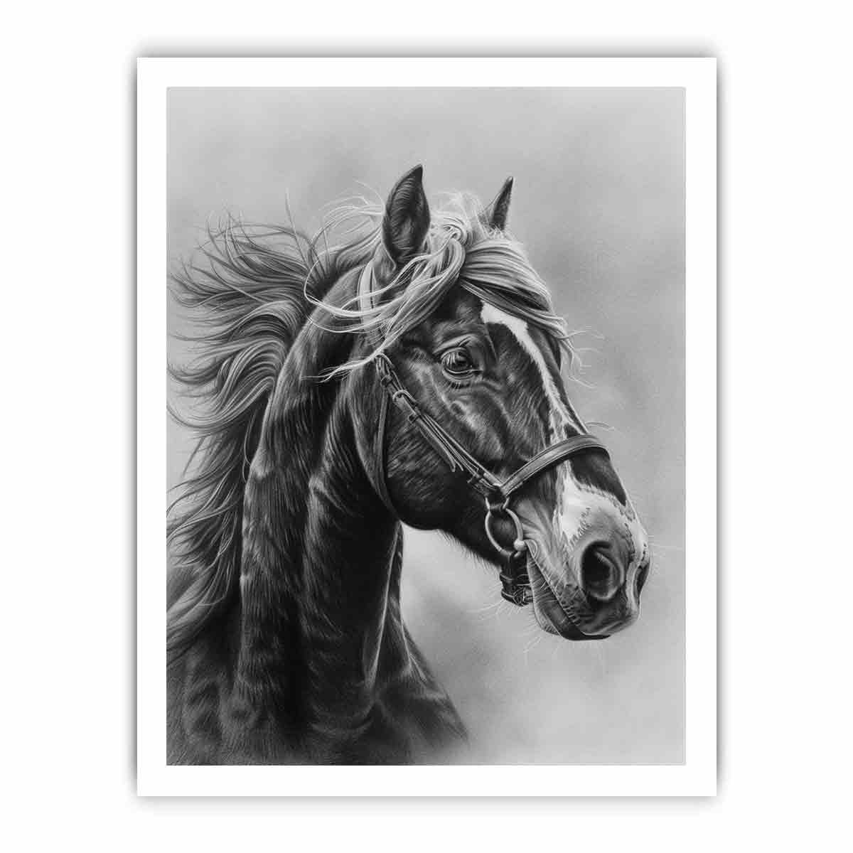 Realistic black and white horse portrait canvas art for equestrian home decor.