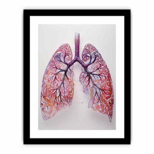Framed Print