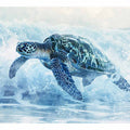 Turtle In Sea 