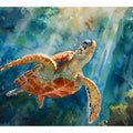 Turtle In Sea 