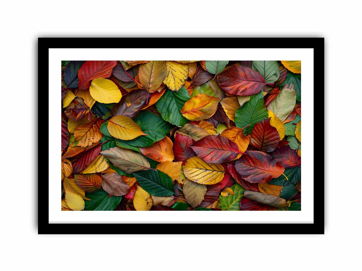 Autumn leaf photography canvas art with warm foliage for cozy living room decor.