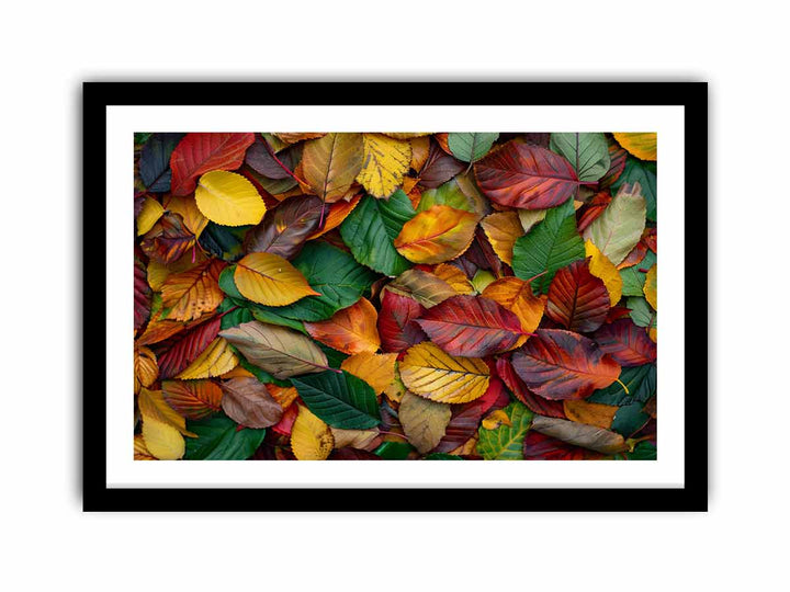 Coloful Autumn  Art Print