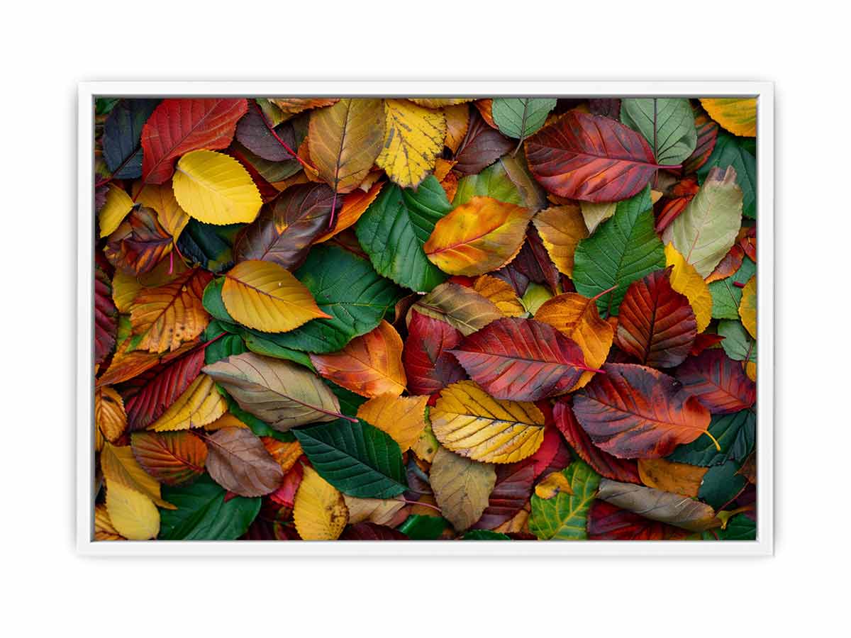 Autumn leaf photography canvas art with warm foliage for cozy living room decor.