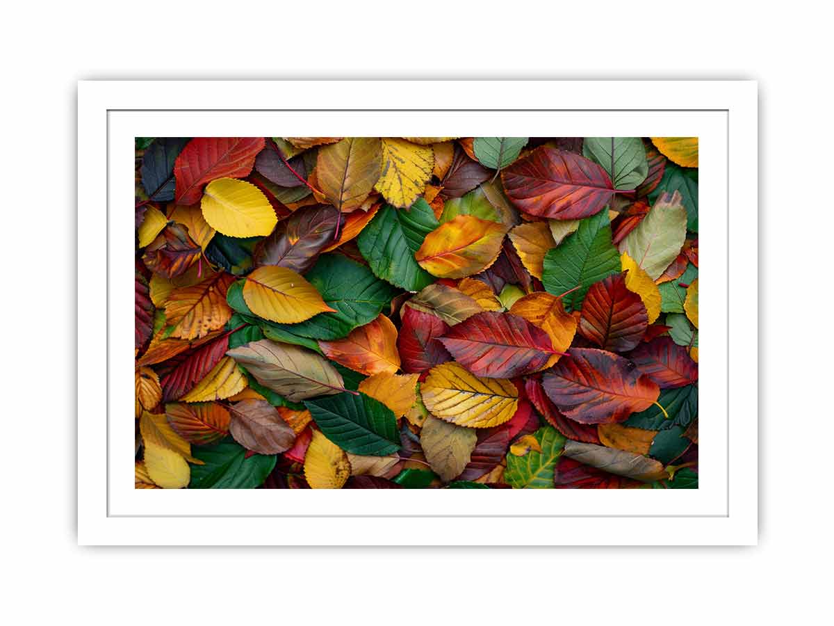 Autumn leaf photography canvas art with warm foliage for cozy living room decor.