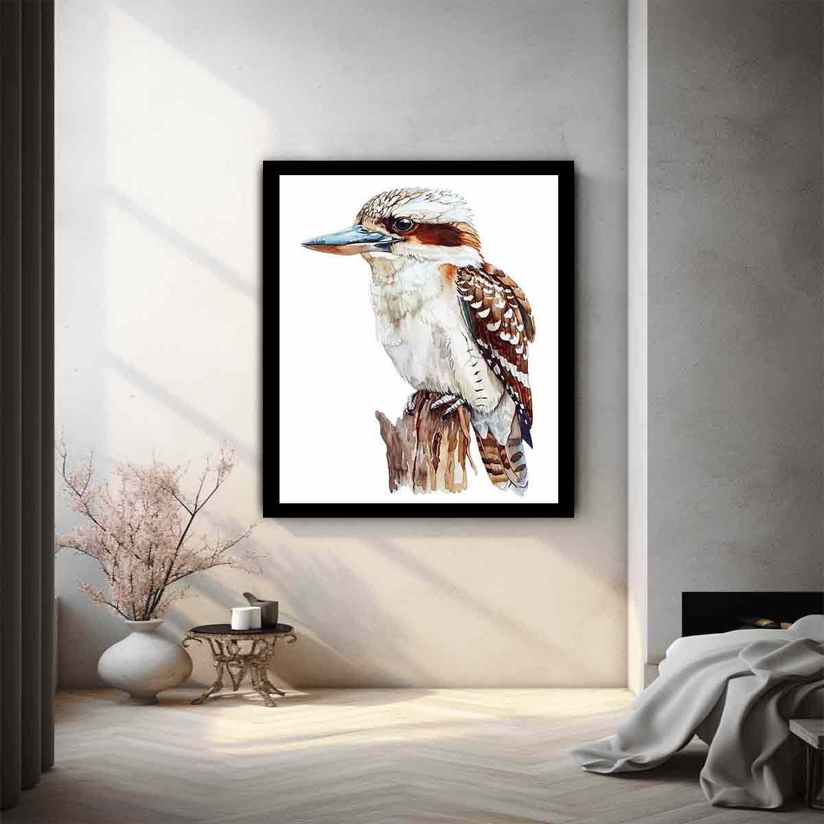 Kookaburra 