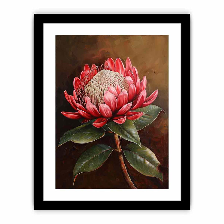 Framed Print