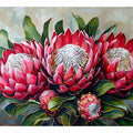 Waratah 