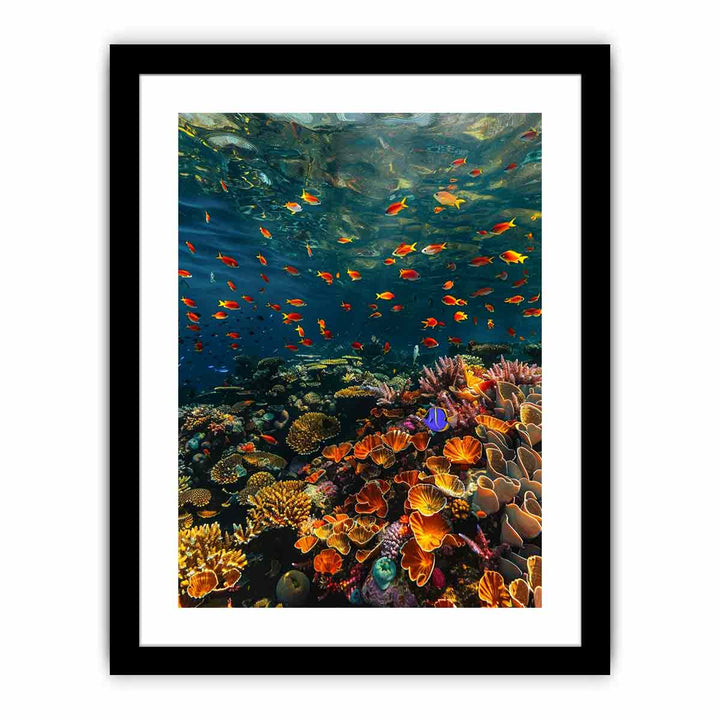 Wow   Art Print