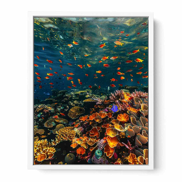 Wow  Framed Print