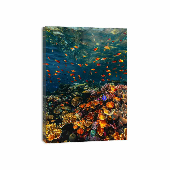 Wow  Canvas Print