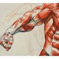 Strong 