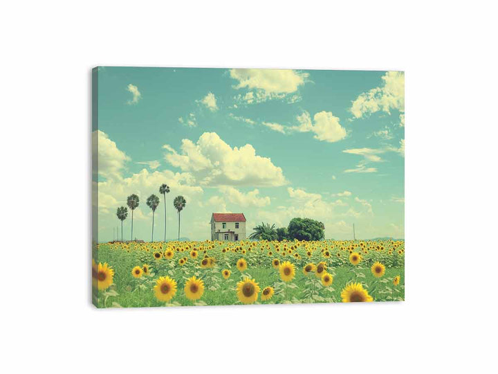 Streched canvas