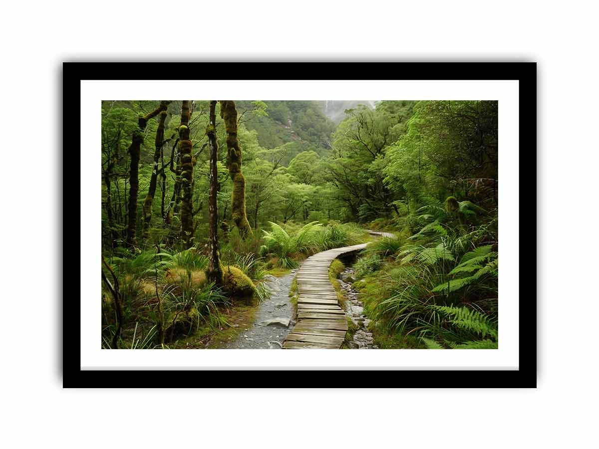 Lush green forest boardwalk canvas art for calming office or bedroom decor.