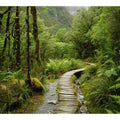 Lush green forest boardwalk canvas art for calming office or bedroom decor.