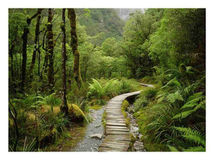 Lush green forest boardwalk canvas art for calming office or bedroom decor.