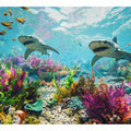 Underwater Fish
