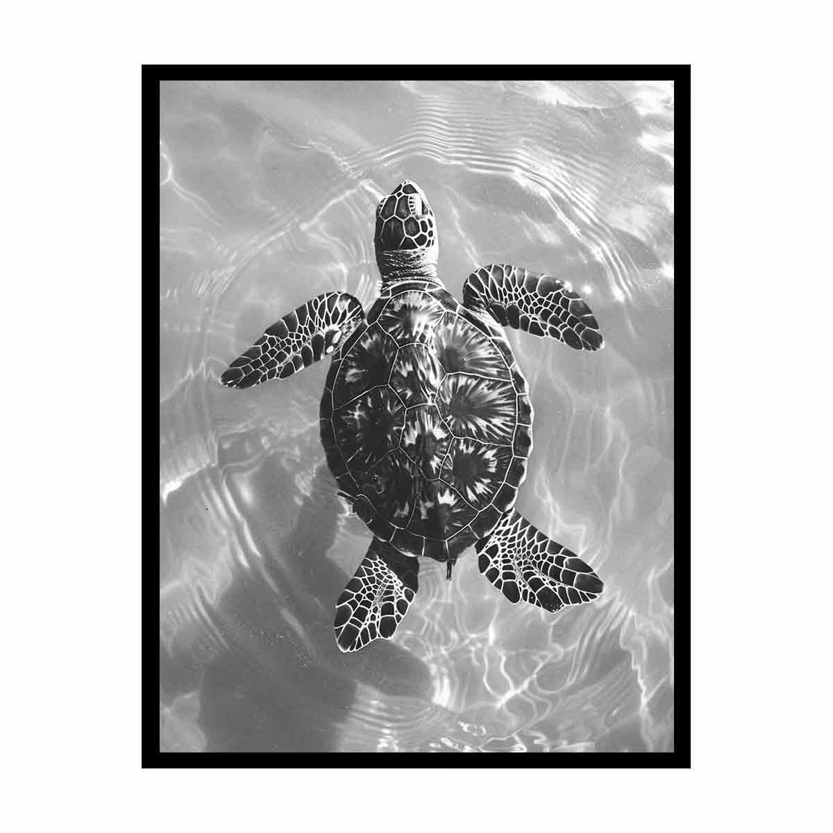 Black and white sea turtle canvas print for coastal bathroom decor.