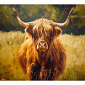 Scottish Highland 