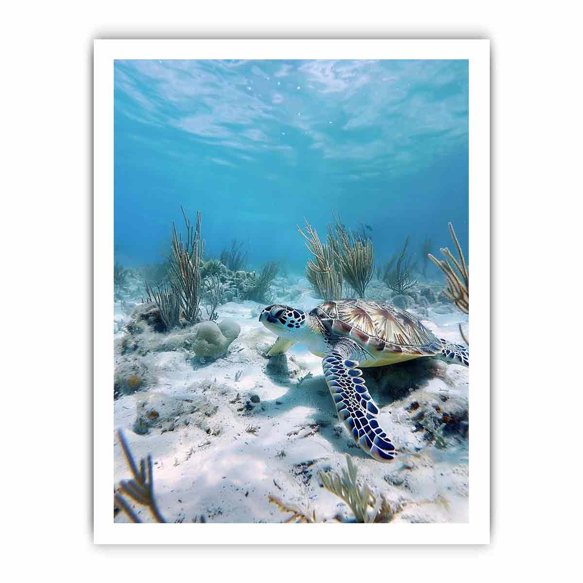 Underwater sea turtle canvas wall art for coastal bathroom decor.