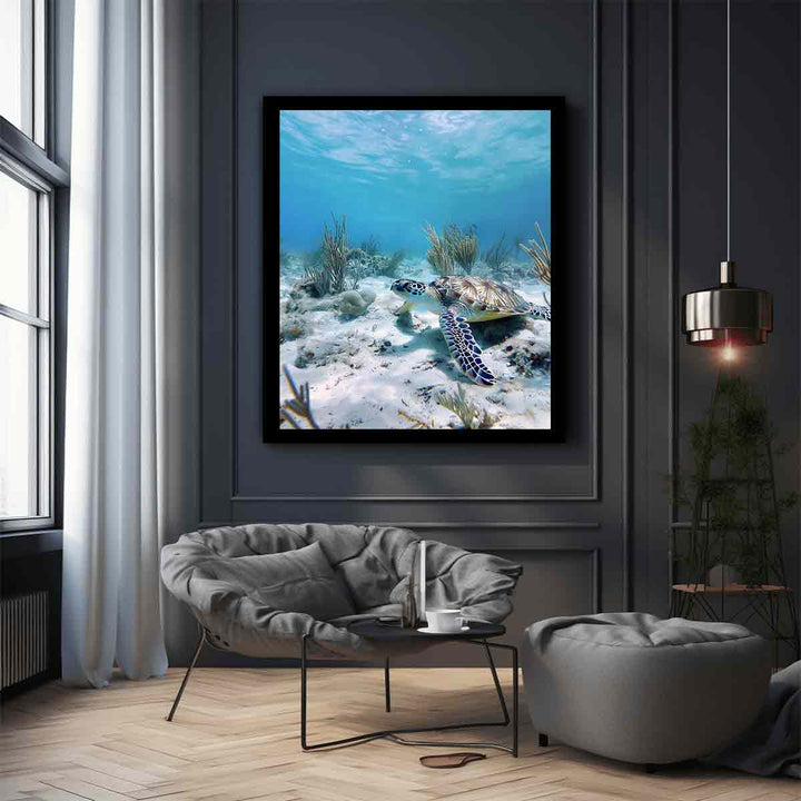  Artwork