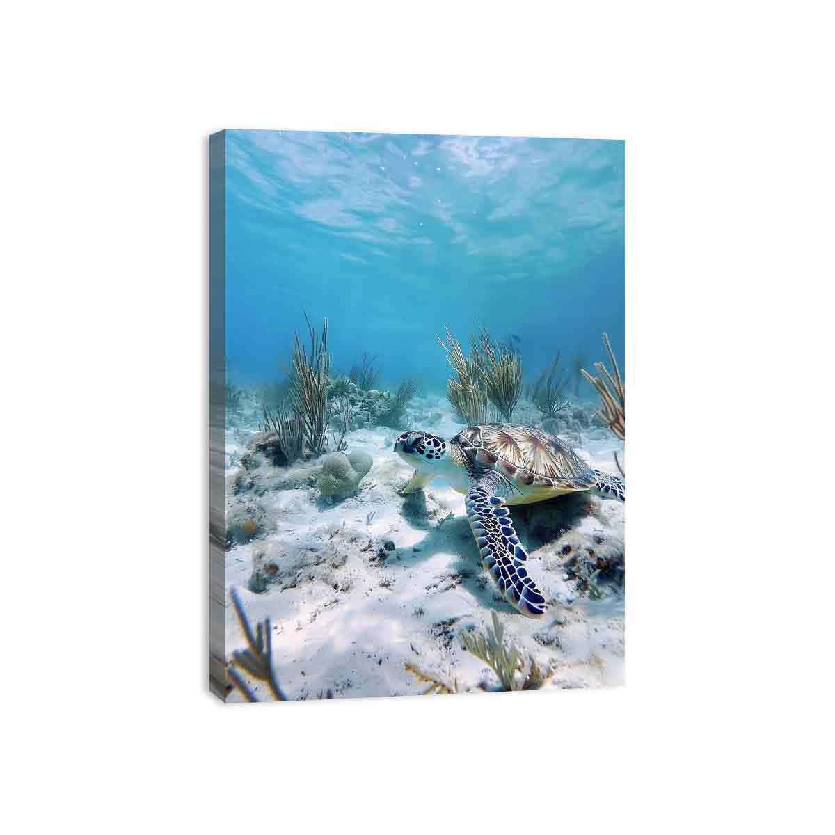 Underwater sea turtle canvas wall art for coastal bathroom decor.