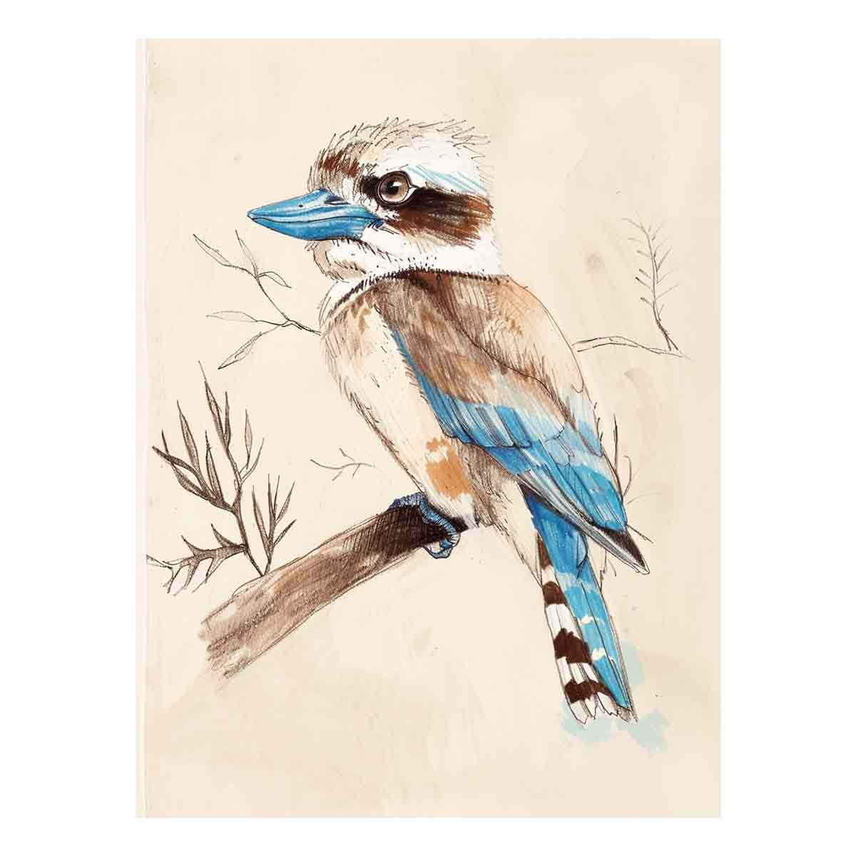 Kookaburra bird illustration canvas art for calm bedroom or nursery decor.