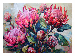 Pink waratah floral canvas art with native blooms and green leaves for modern home decor.