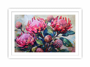 Pink waratah floral canvas art with native blooms and green leaves for modern home decor.