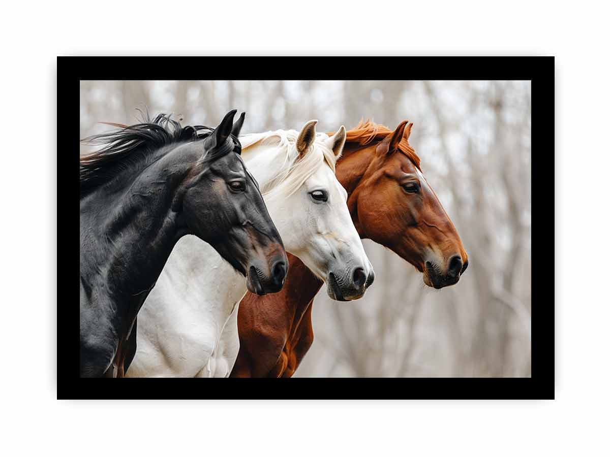 Three horses canvas art with black, white, and chestnut tones for rustic modern room decor.