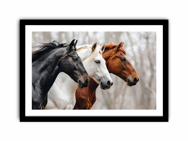 Three Horses  Art Print