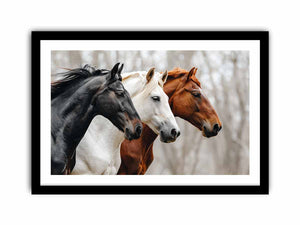 Framed Print
