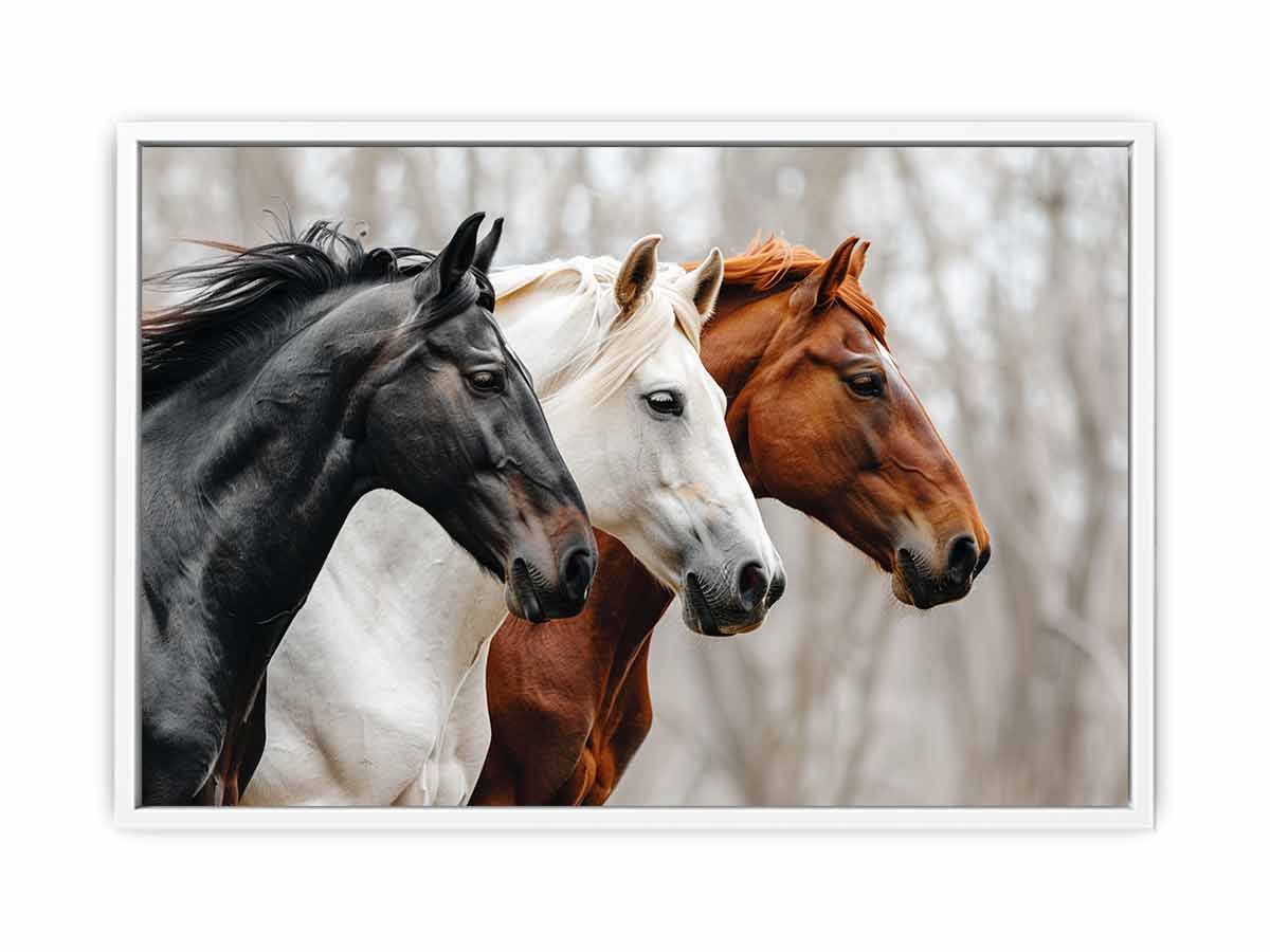 Three horses canvas art with black, white, and chestnut tones for rustic modern room decor.