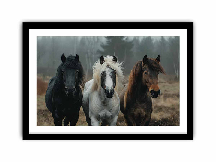 Framed Print