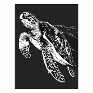 Turtle 