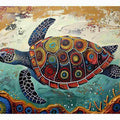 Beautiful Turtle 