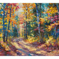 Autumn Forest