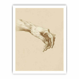 Vintage hand anatomy drawing canvas art for office, study, or hallway decor.