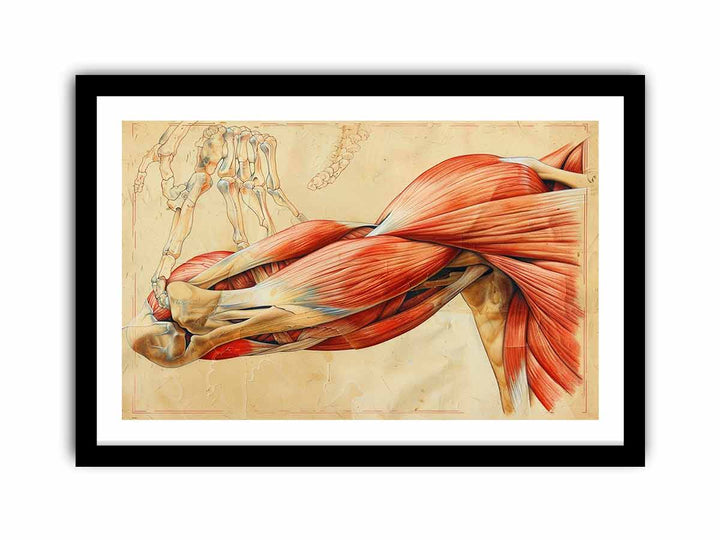 Framed Print