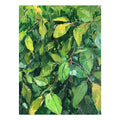 Green leafy botanical canvas art for biophilic office and hallway decor.