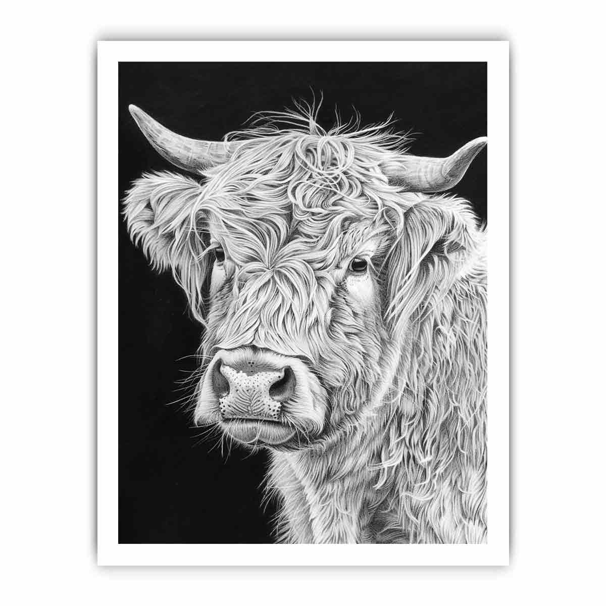 Black and white Highland cow portrait art for rustic farmhouse living room decor.