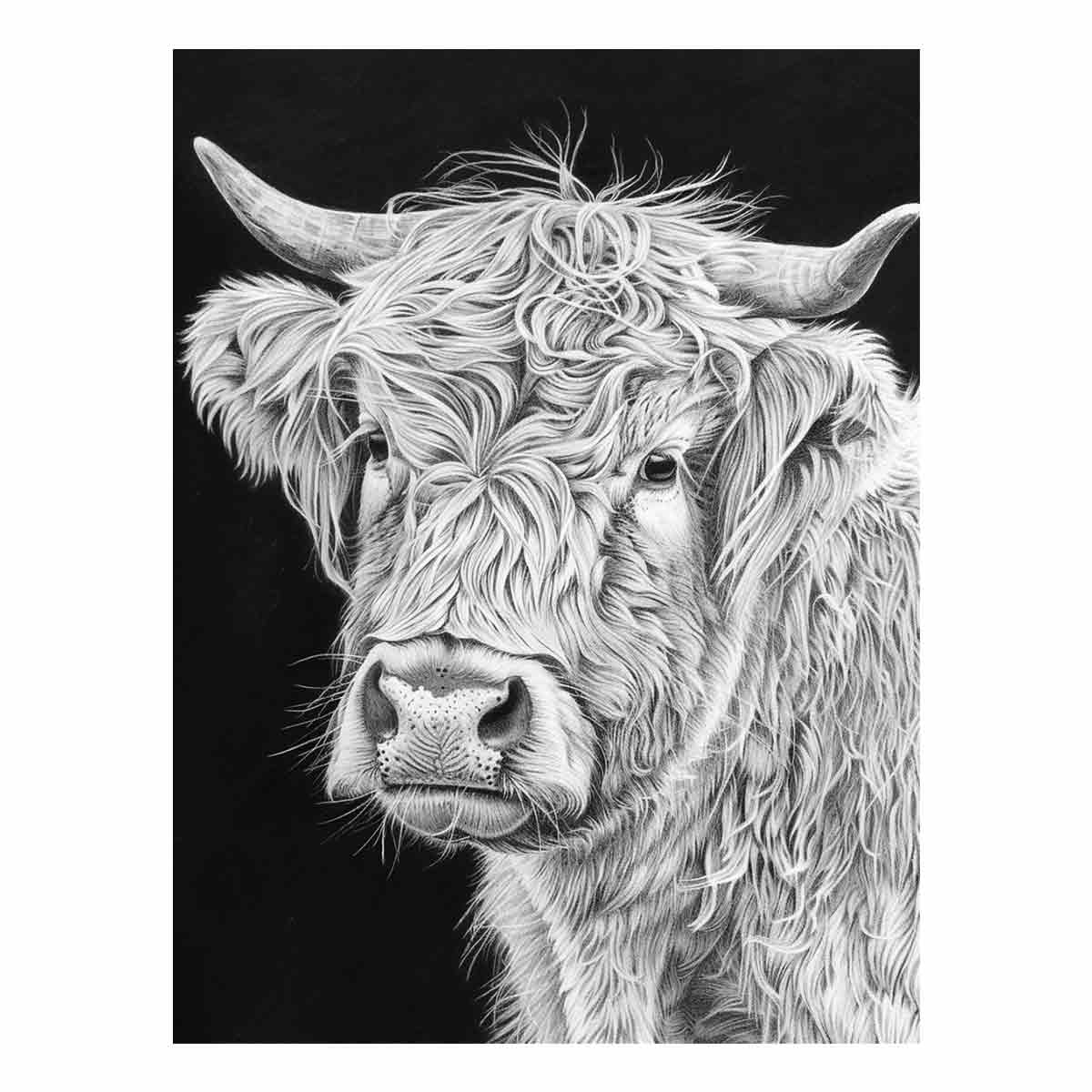 Black and white Highland cow portrait art for rustic farmhouse living room decor.