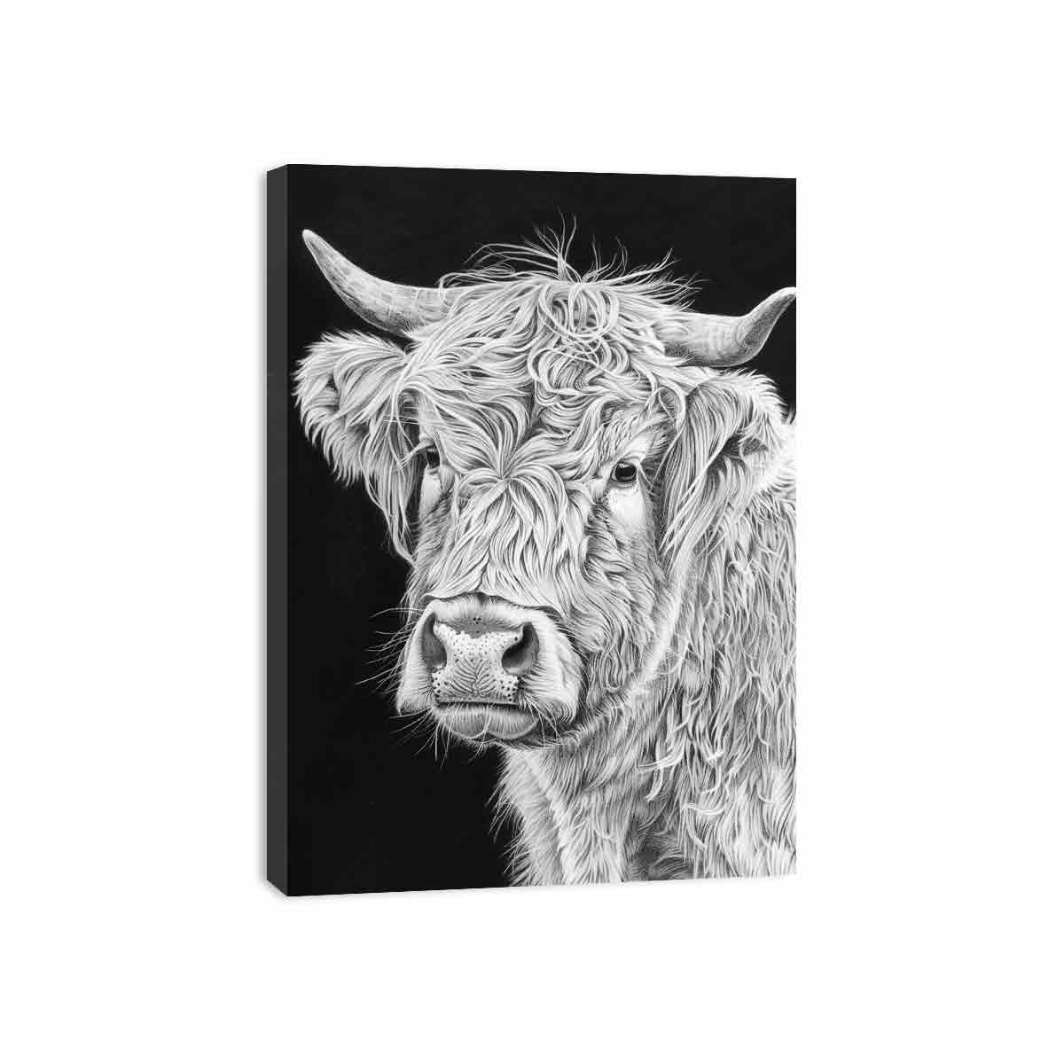 Black and white Highland cow portrait art for rustic farmhouse living room decor.