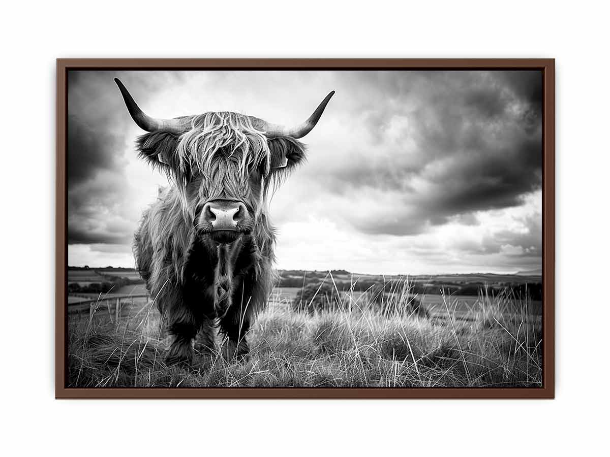 Black and white Highland cow landscape photography for rustic farmhouse decor.