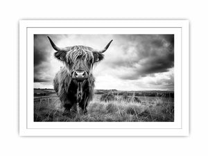 Black and white Highland cow landscape photography for rustic farmhouse decor.