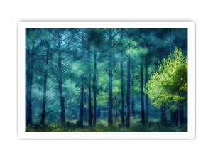 Framed print